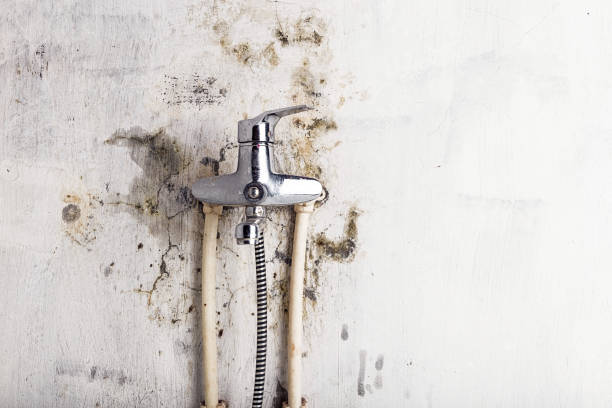 Water Damage Restoration in Myrtle Grove, NC