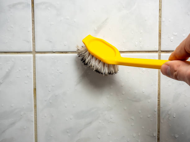 Myrtle Grove, NC Mold Removal Company